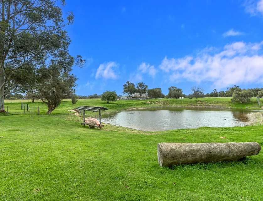 664 Nicholson Rd, Forrestdale, WA 6112, 5房, 3浴, Lifestyle Section