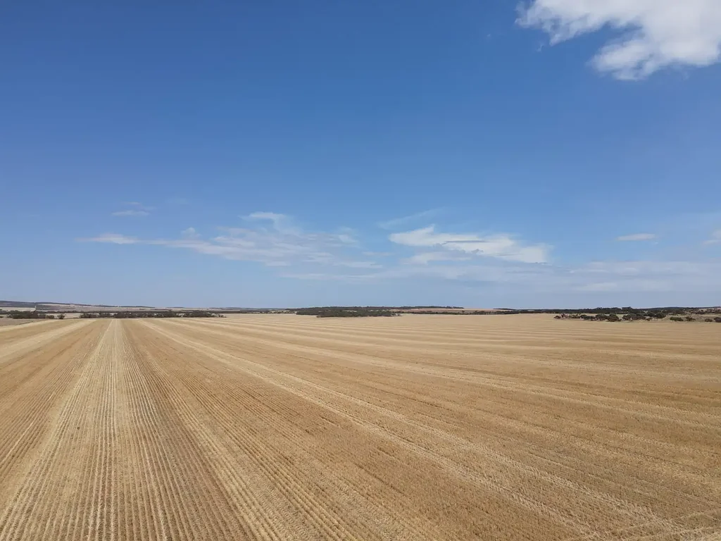 'Raysons' Section 1, 28 & 145 Eyre Highway, Solomon, SA 5641