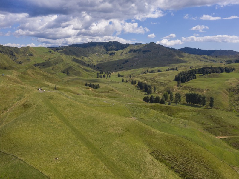 333 Waitewhena Road, Aria, Waitomo, 0 rūma, 0 rūma horoi