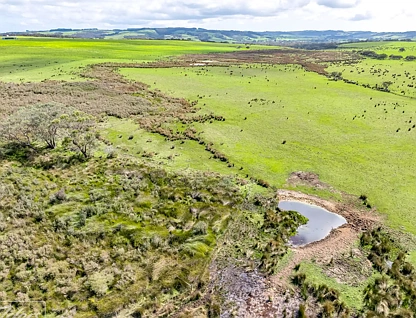 Lot 259 Pambula Road, Mount Jagged, South East, 0 habitaciones, 0 baños, Lifestyle Property