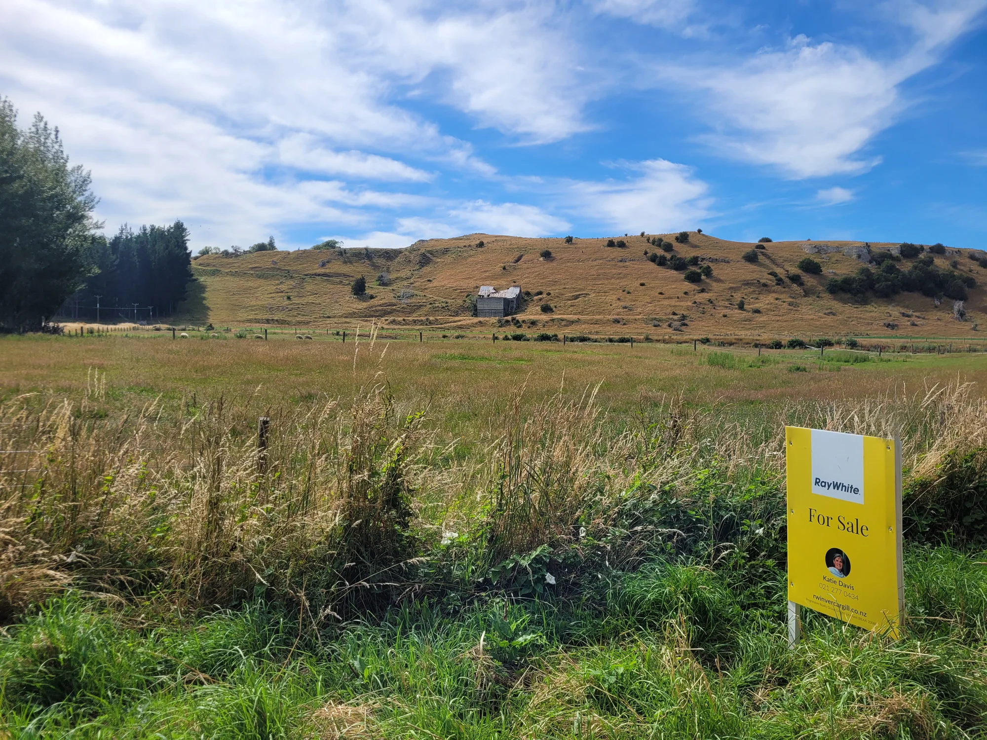 110 Avon Road, Centre Bush, Southland