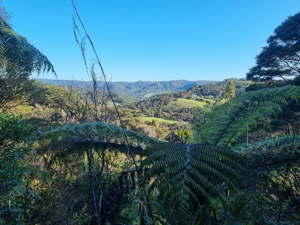 305 Wairere Road, Waitakere