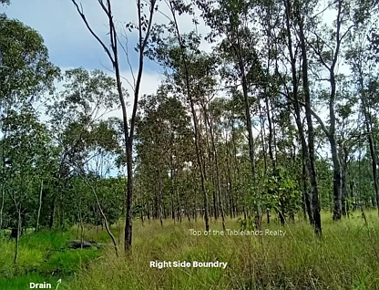 189 Millstream Pde, Millstream, QLD 4888, 0 ਕਮਰੇ, 0 ਬਾਥਰੂਮ, Section