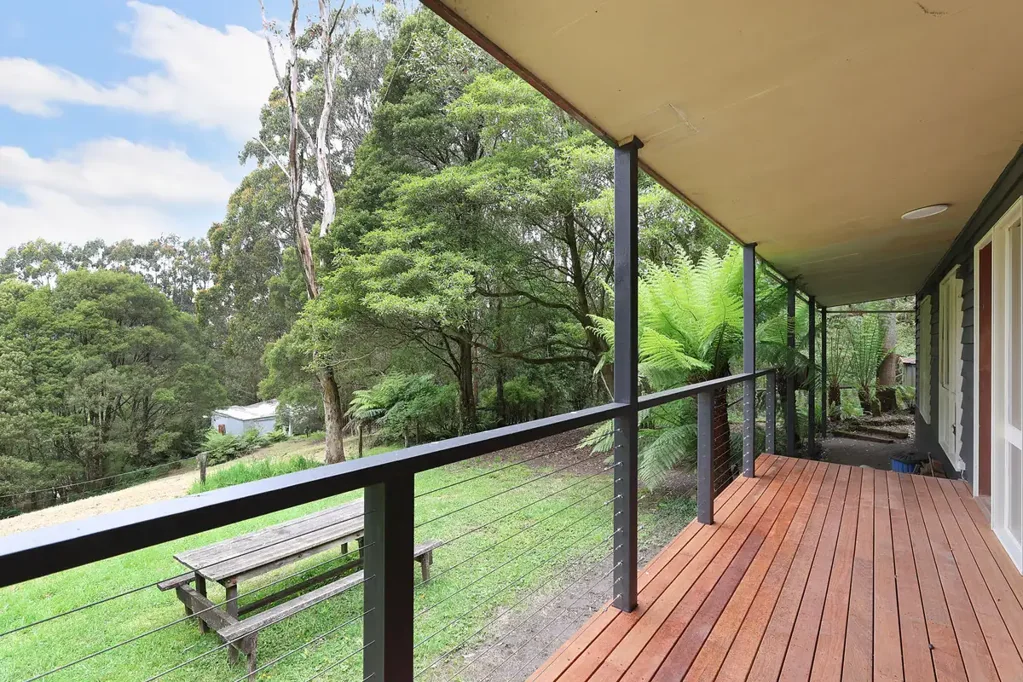 Lavers Hill NATIVE RAIN FOREST MEETS OTWAYS RETREAT