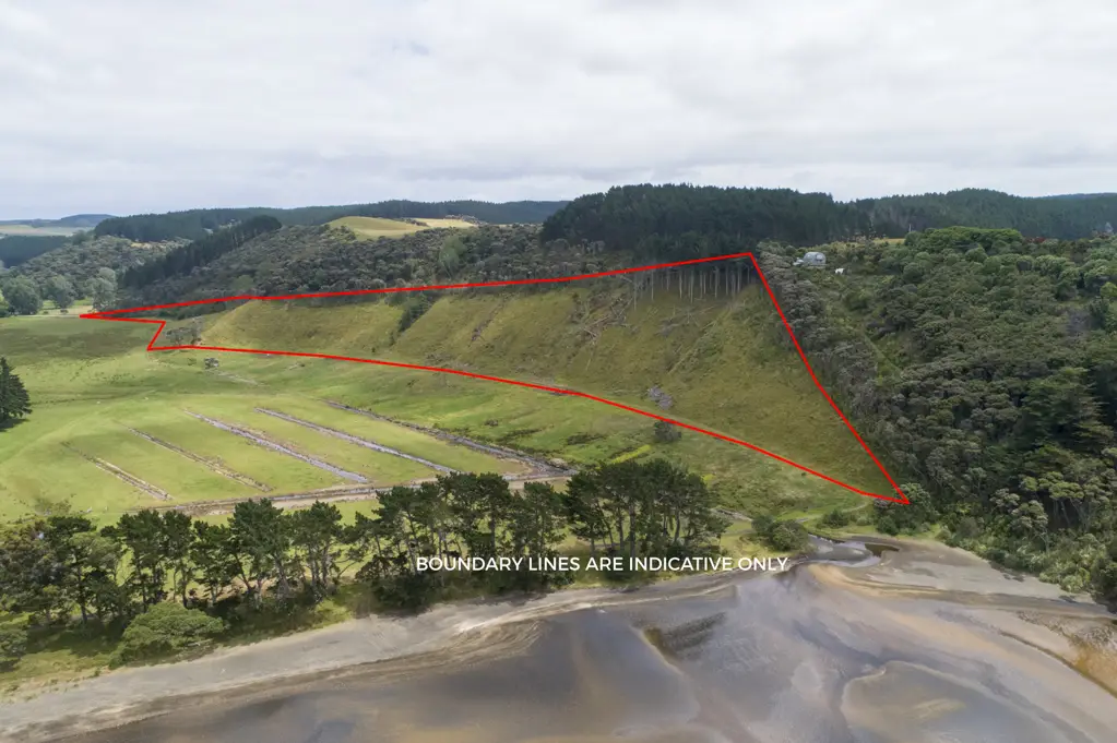 Helensville BEACH FRONTAGE