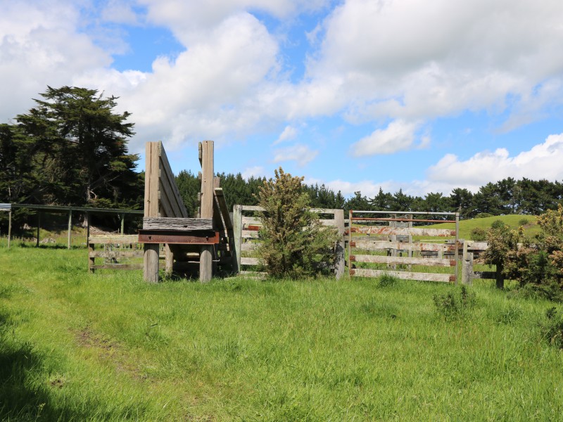 416 Foxton Shannon Road, Foxton, Horowhenua, 5 habitaciones, 4 baños