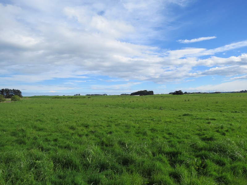 90 Mchardie Road, Bulls, Rangitikei, 0 phòng ngủ, 0 phòng tắm