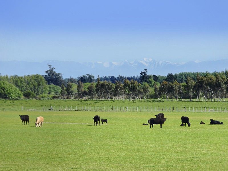 Selwyn Lake Road, Leeston, Selwyn, 0 chambres, 1 salles de bain