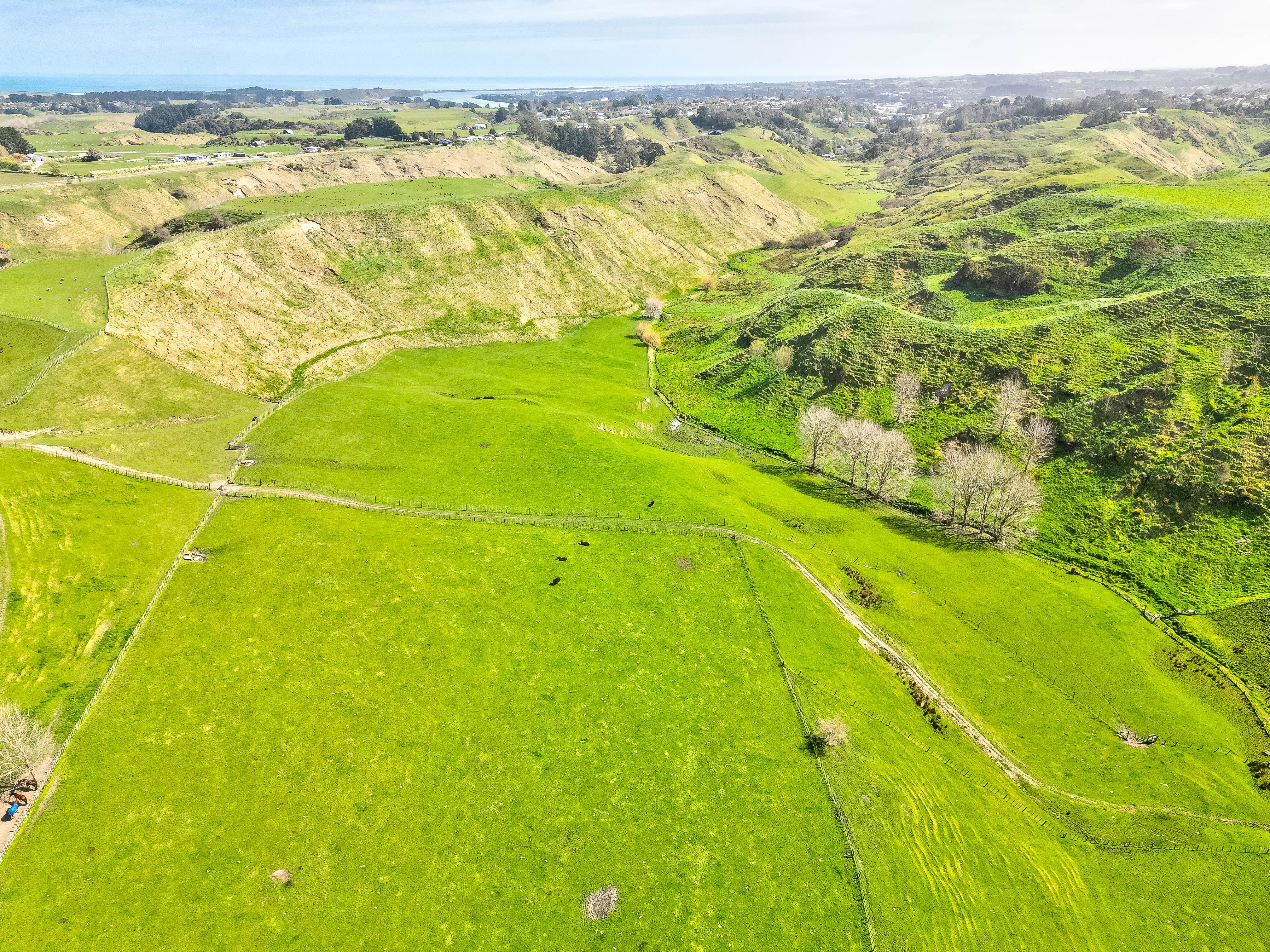 135 No 2 Line, Okoia, Whanganui, 0 habitaciones, 1 baños, Grazing