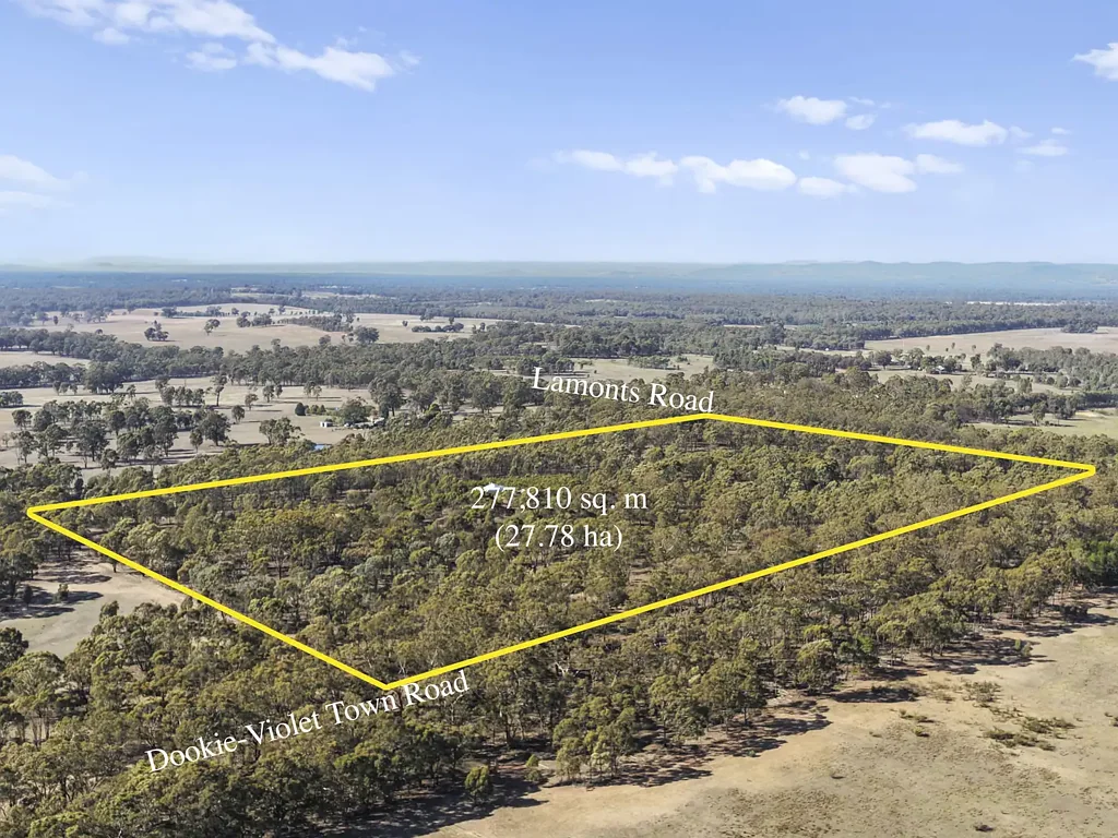 Koonda  67.7 Acre Hideaway and Wildlife Haven - Owned Since 2002 - Solid Storage Building - Woodlands