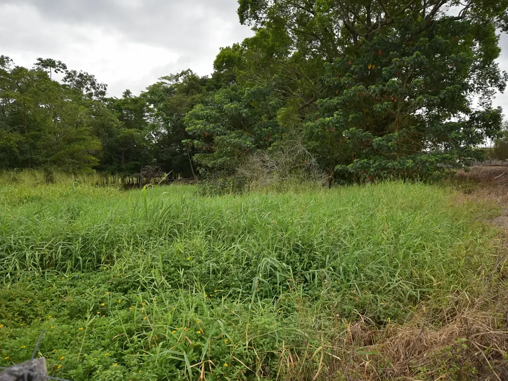 Lot 7 Tully Gorge Road, Tully, QLD 4854
