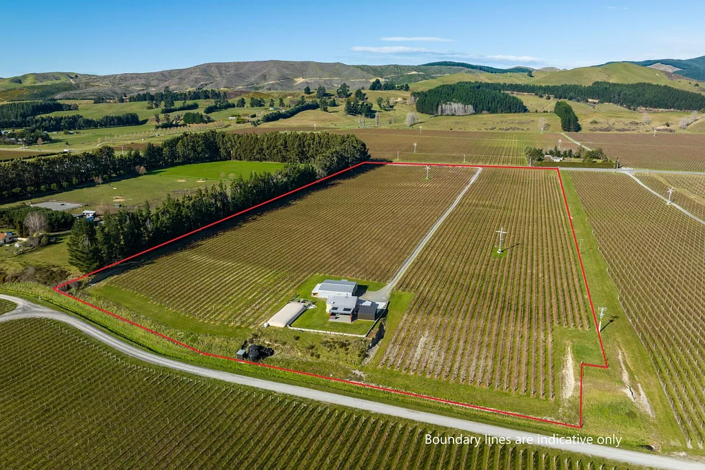 Wairau Valley Young Sauvignon Blanc vineyard, shed & cottage