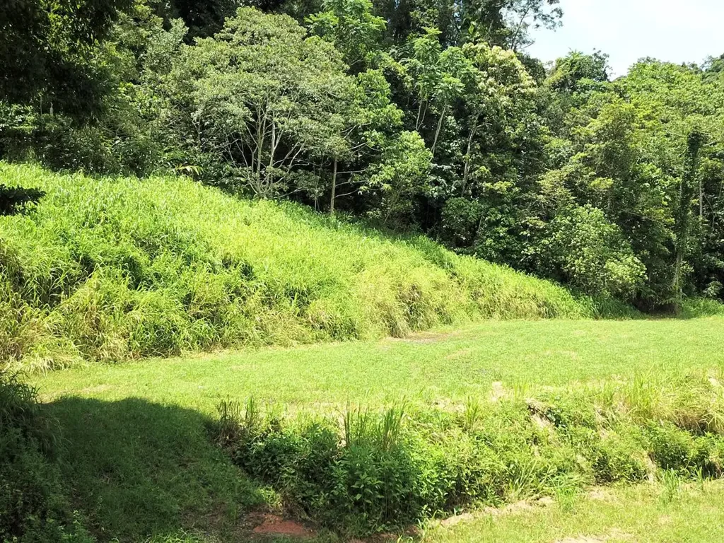 Redlynch  Welcome To Tranquil Forest