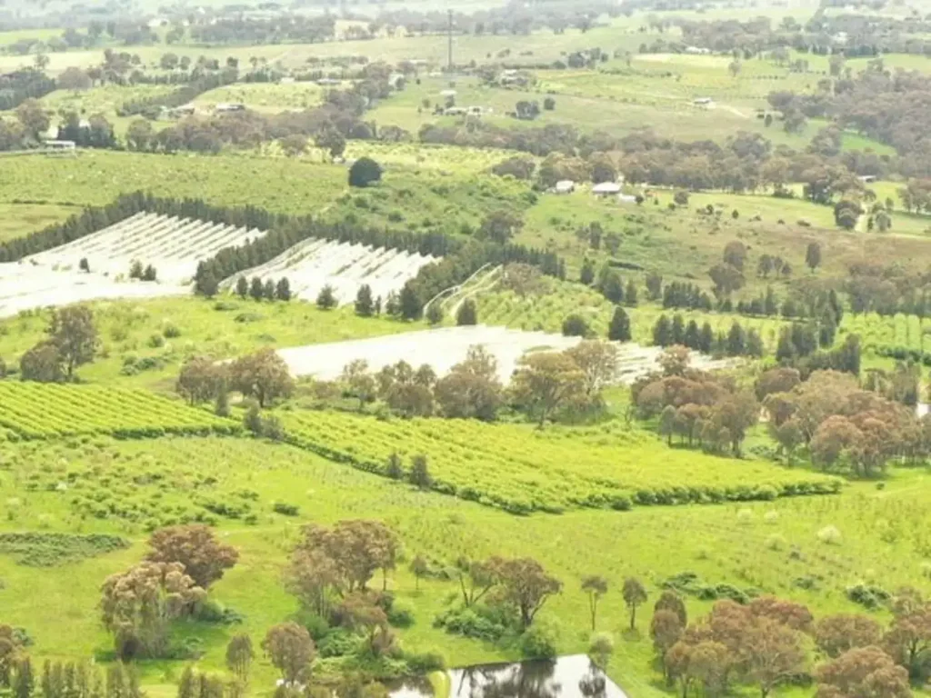 121 Apps lane, Young, NSW 2594