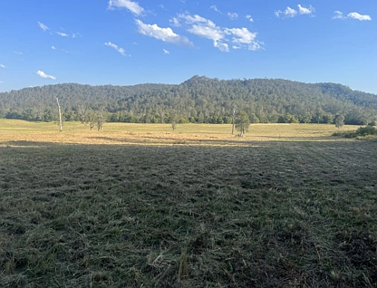 2374 Upper Mongogarie Road, Upper Mongogarie, North Coast, 0 rūma, 0 rūma horoi, Lifestyle Property