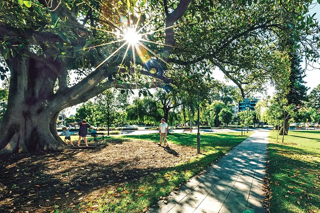 503/62 Hurtle Square, Adelaide, SA 5000