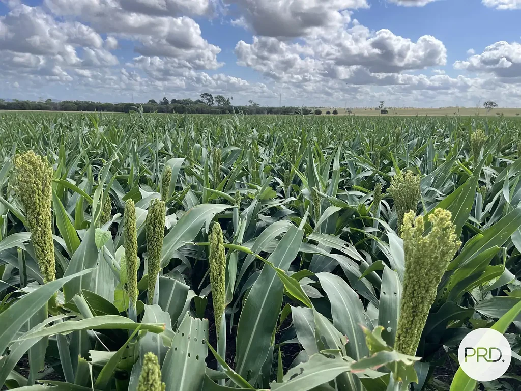 Lower Mount Walker  PRIME MIXED FARMING ENTERPRISE