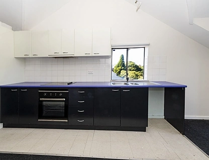 232 Moore Park Road, Paddington, Eastern Suburbs, 1房, 1浴, Studio