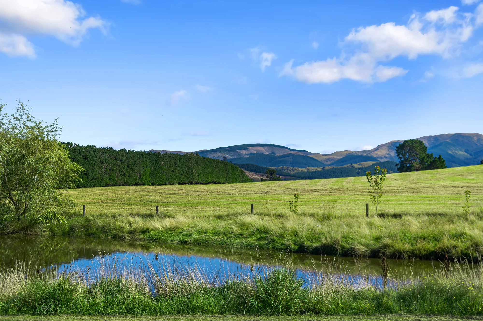 Loburn Your Slice of Loburn Countryside- Unbeatable Value