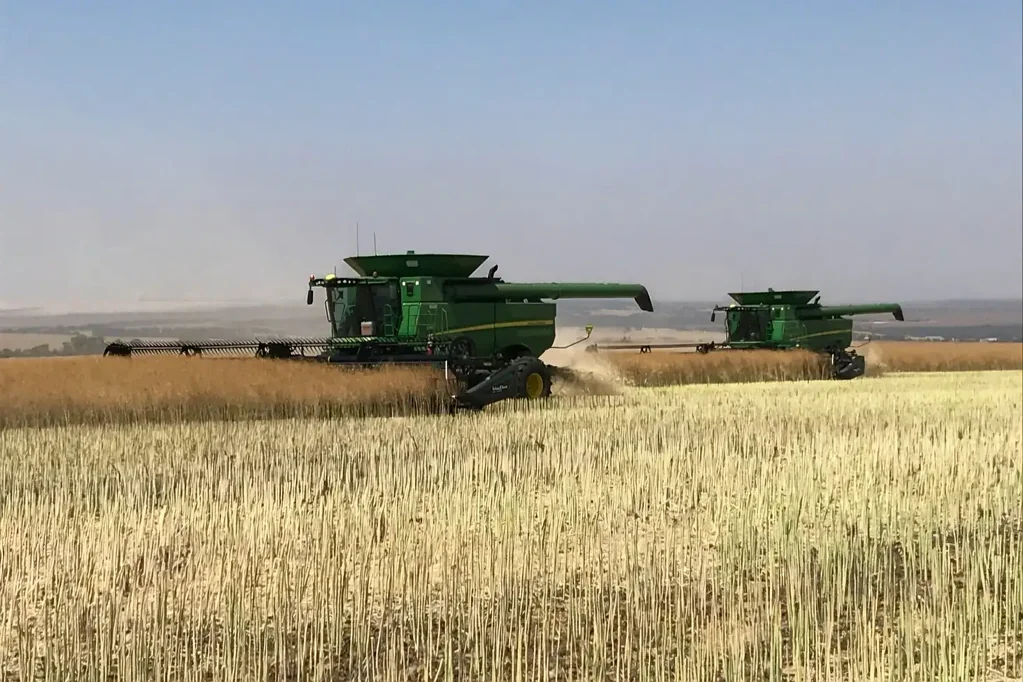 Wicherina Serious broadacre producer in WA's Northern Wheatbelt