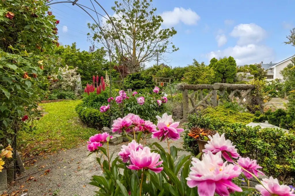 1 Brian Bary Street, Redwoodtown, Marlborough