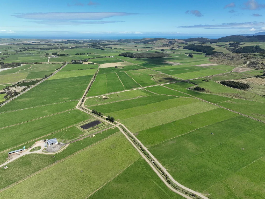 Tuatapere  Balanced Self-Contained Dairy Unit -  475ha