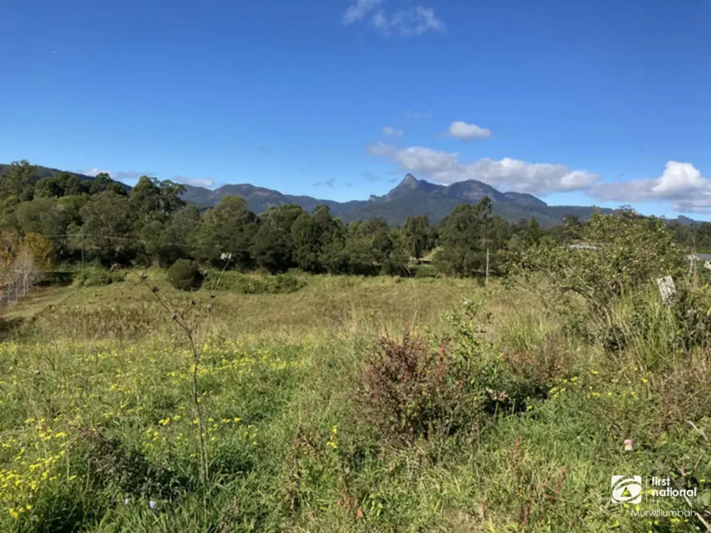 Lot 2 Limpinwood Road, Limpinwood, NSW 2484