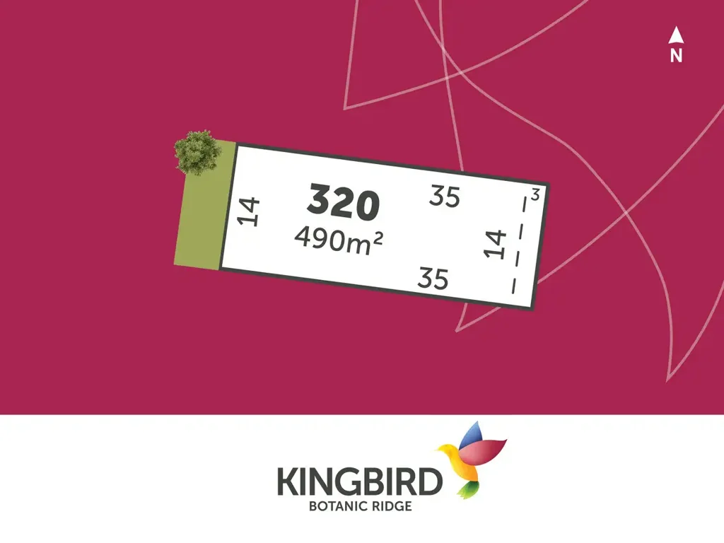Botanic Ridge Kingbird Stage 3