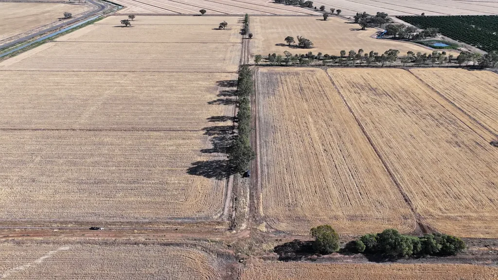 Leeton Prime Cropping Land