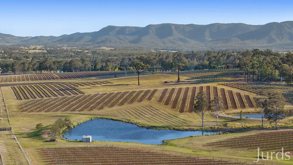 Pokolbin Eagles Nest - A Stunning Palette in Wine Country