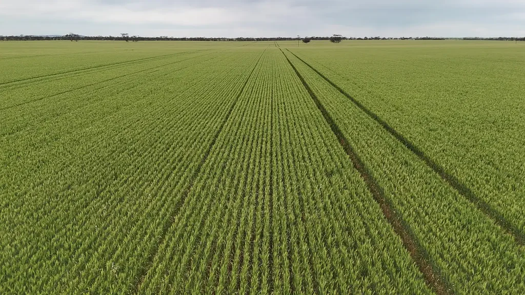 Kainton HIGHLY REGARDED CROPPING PROPERTY