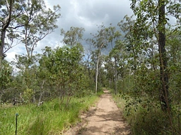 地址保密, Rosedale