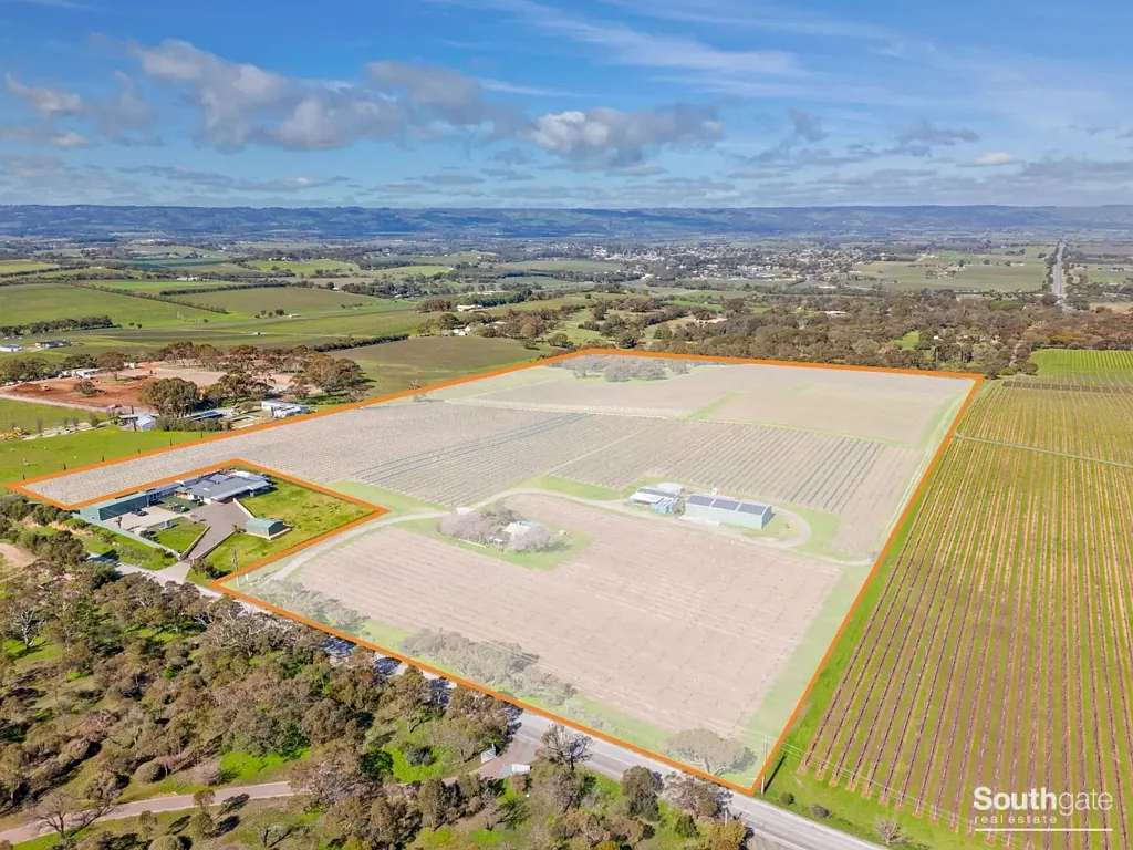 Mclaren Vale Elevated 16 ha overlooking McLaren Vale township & surrounding countryside.