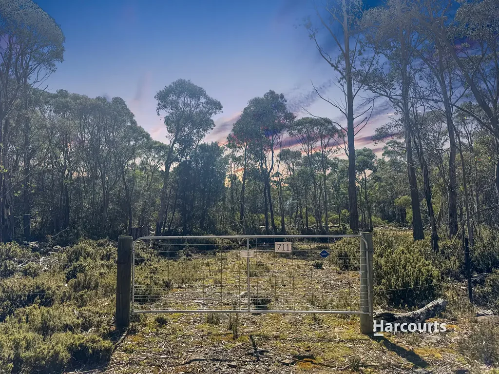 Arthurs Lake Prime Lakeside Land Ready for Your Dream Build!