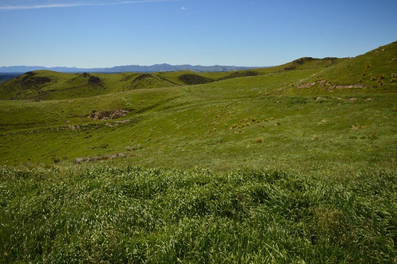 69p Inches Road, Hawarden, Hurunui, 0房, 0浴