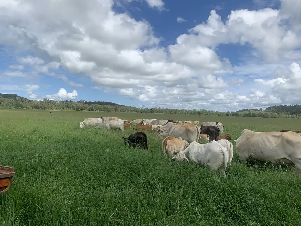 Lot 4 Marwood Sunnyside Road, Sunnyside, QLD 4737