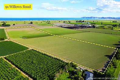 Willows Road, Matawhero, 0房, 0浴, Bare Land