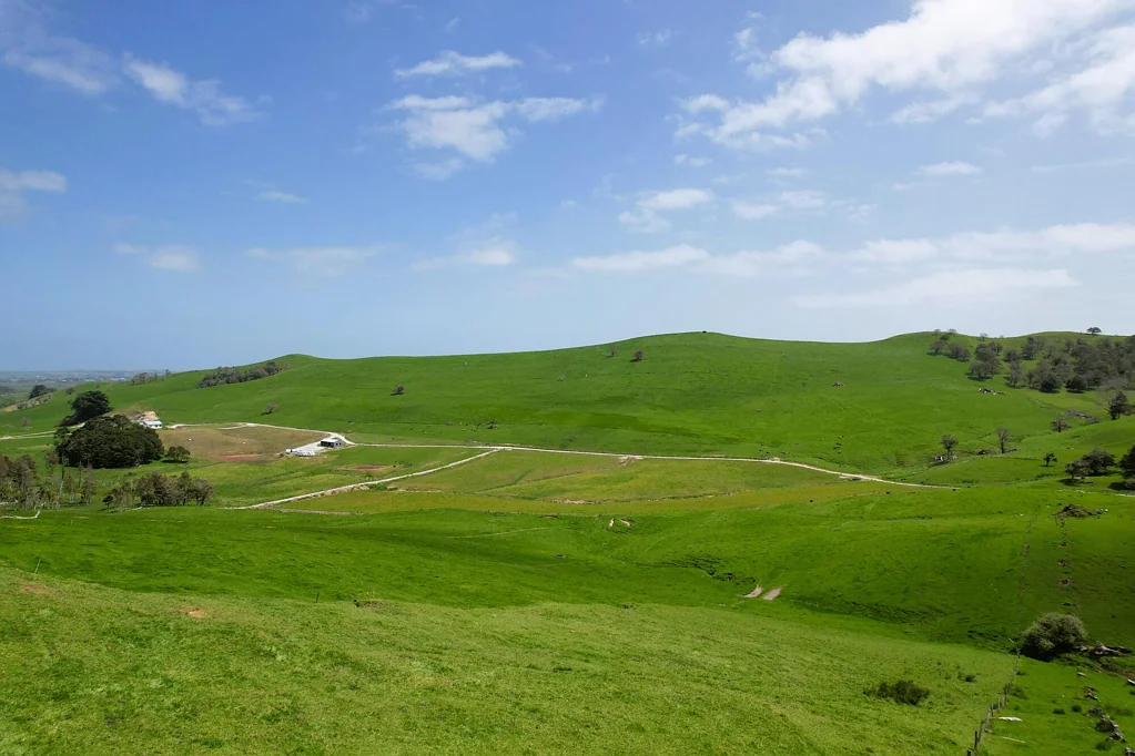 Arapohue  Versatile Grazing Opportunity