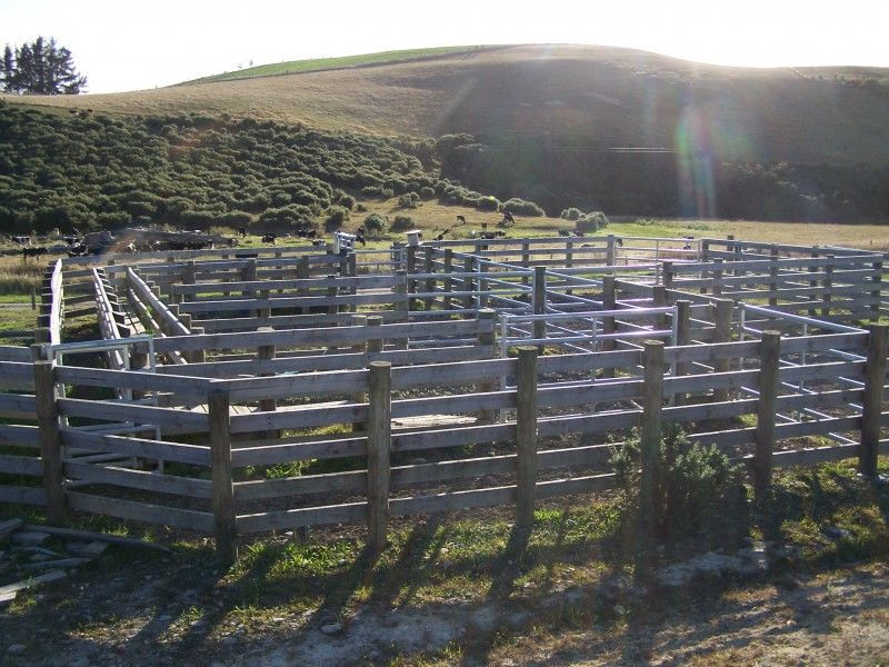 Waianakarua Road, Herbert, Waitaki, 0 Bedrooms, 1 Bathrooms