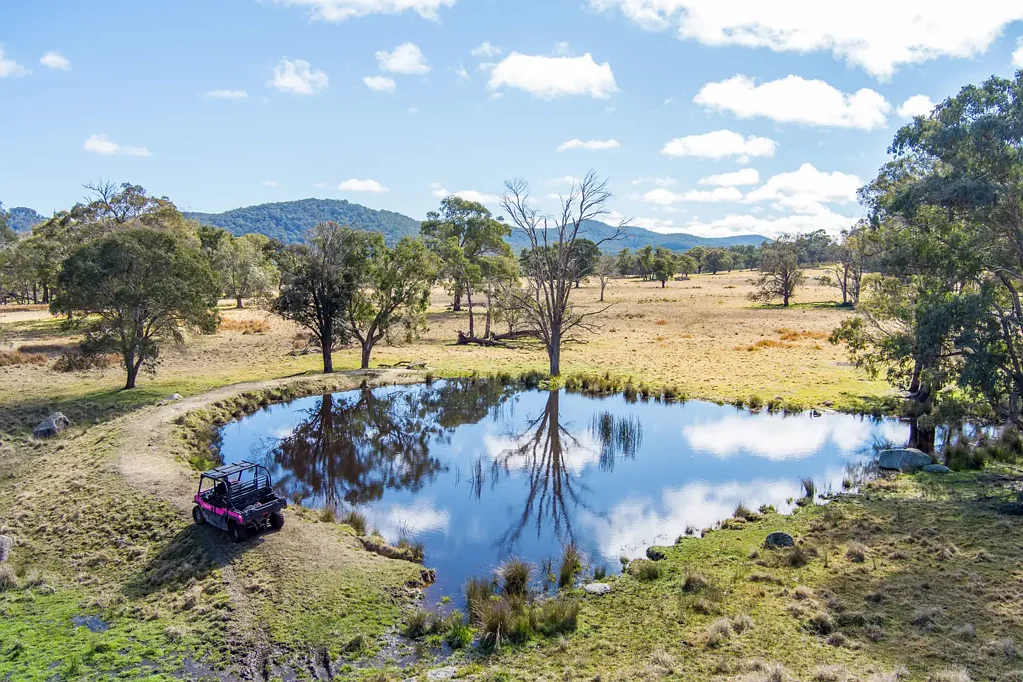 1504 Morven Road, Dundee, NSW 2370