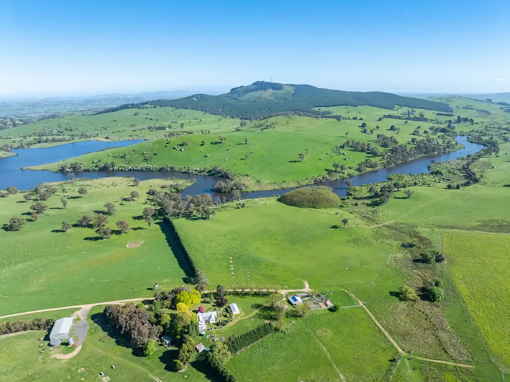 Neville 'Pomona' | Trophy Central Tablelands Grazing