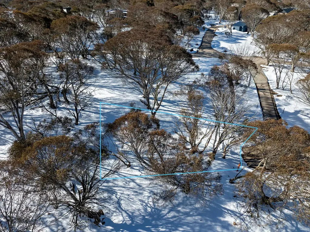 Dinner Plain Competitively Priced : Private Setting Surrounded By Snowgums