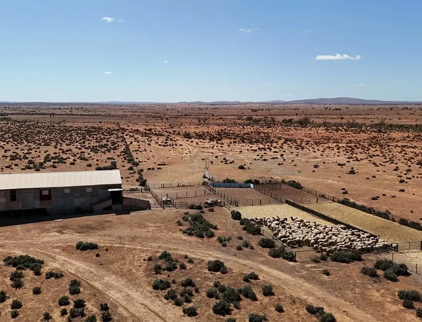'Cavenagh' Orroroo-Paratoo Road, Cavenagh, Barossa - Yorke - Mid North, 0 habitaciones, 0 baños, Lifestyle Property