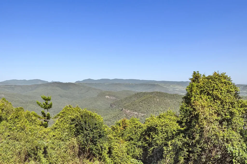 Tamborine Mountain RARE VACANT LAND WITH SPECTACULAR GORGE VIEWS