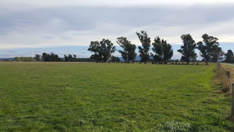 158 Ashbys Road, Sefton, Waimakariri, 0 rūma, 0 rūma horoi