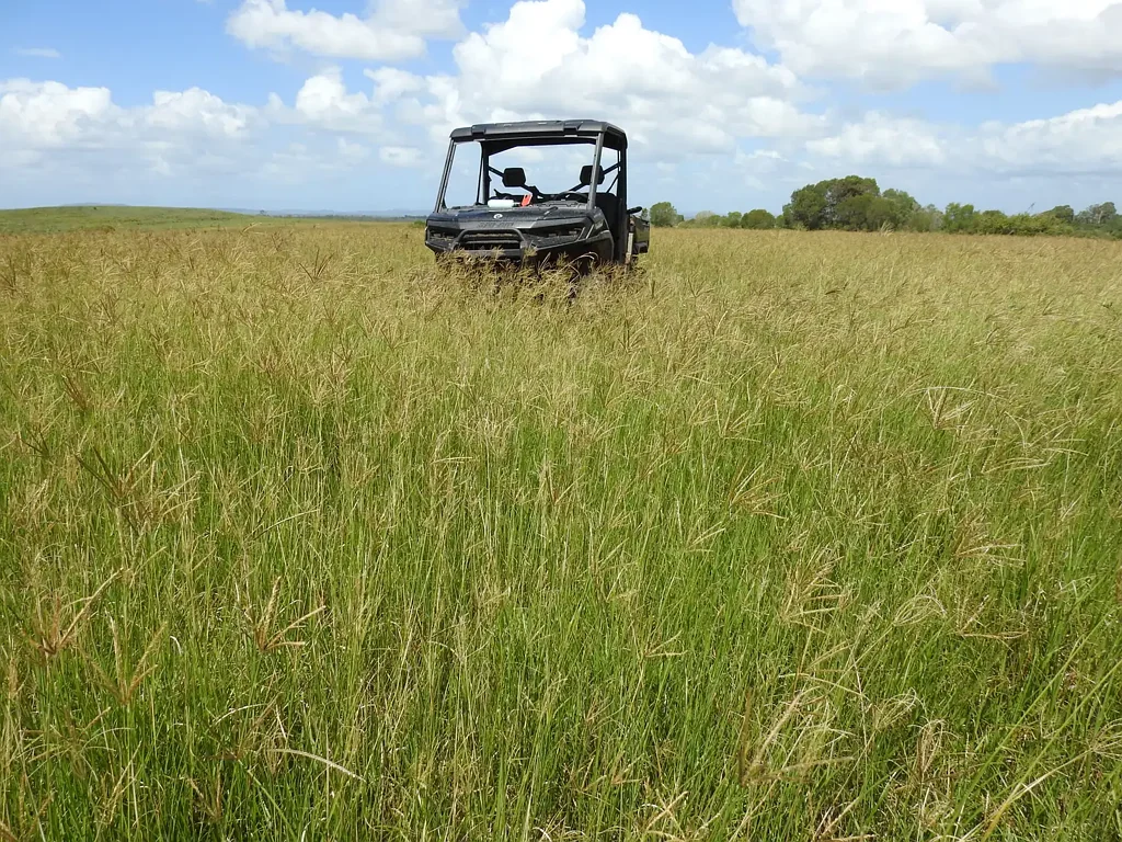 Ellangowan  250+ Acres of Quality Grazing - Close to Town