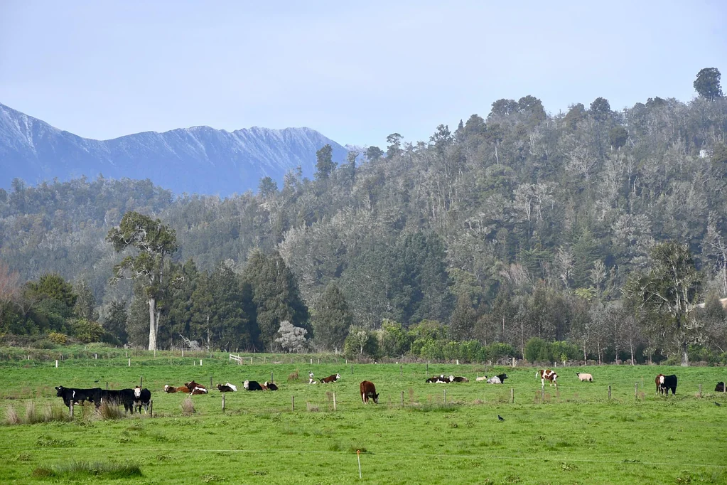 Karamea 1Habitaciones Rural opportunity