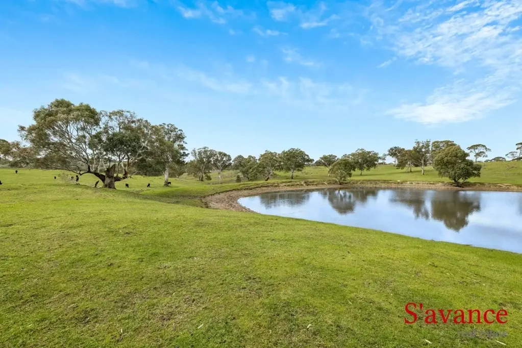 Mount Torrens  Premium grazing land with no close neighbours – 66.5 HA