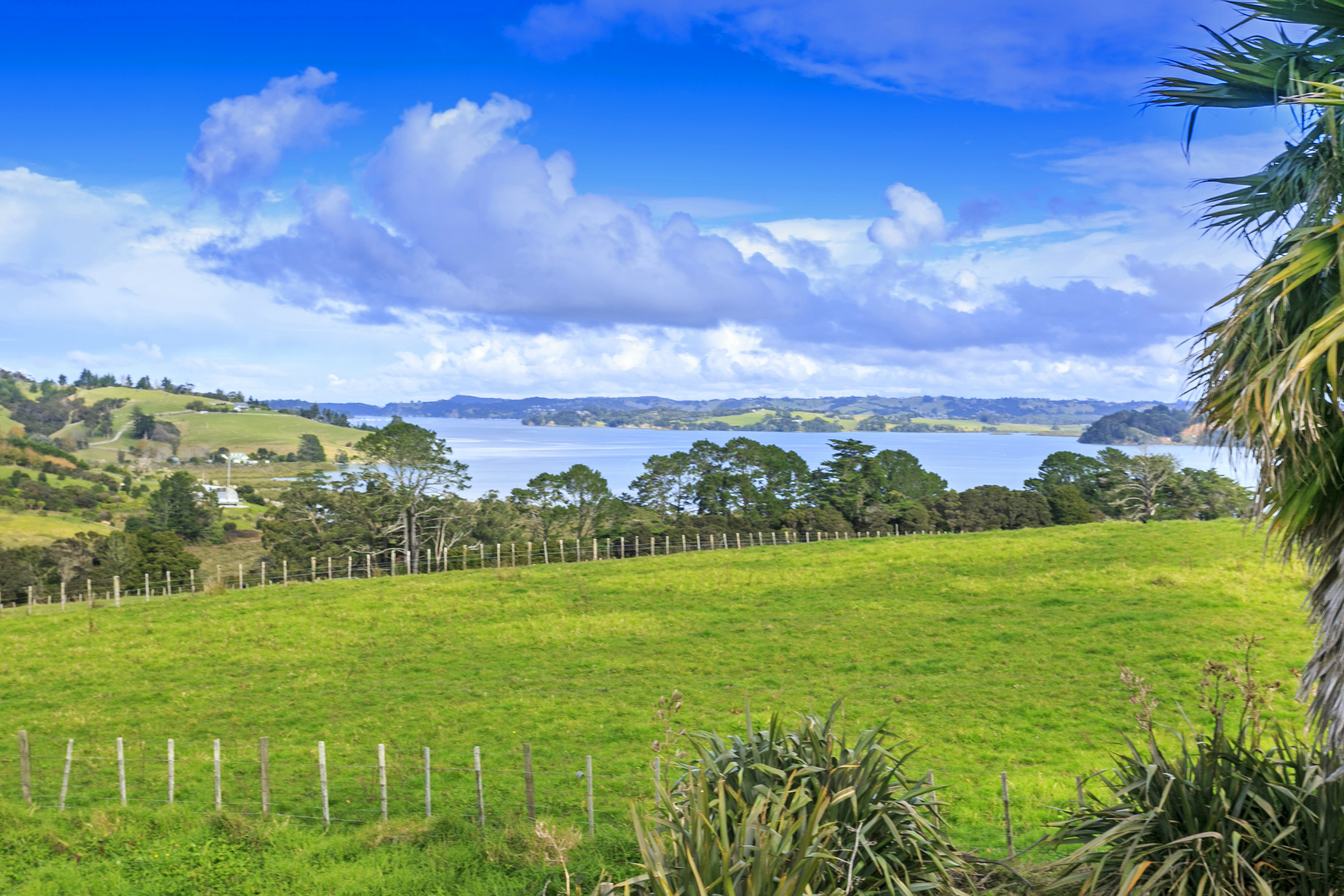 63 Dawson Road, Snells Beach, Auckland - Rodney, 4房, 0浴