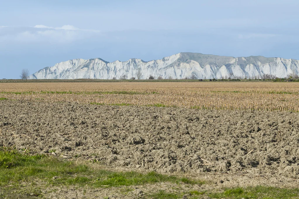 Matawhero A productive investment for the future